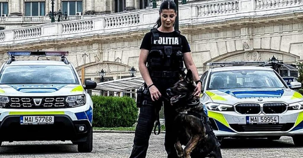 Angajări la poliția Harghita